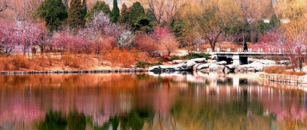 Прогноз погоды в Пекине